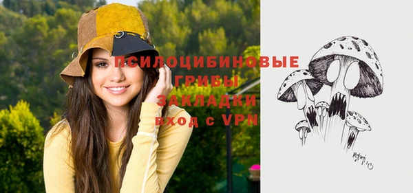 МДПВ Алзамай