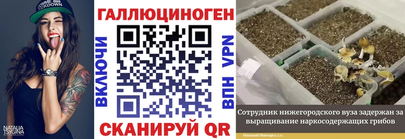 Галлюциногенные грибы Psilocybine cubensis  darknet официальный сайт  Енисейск 